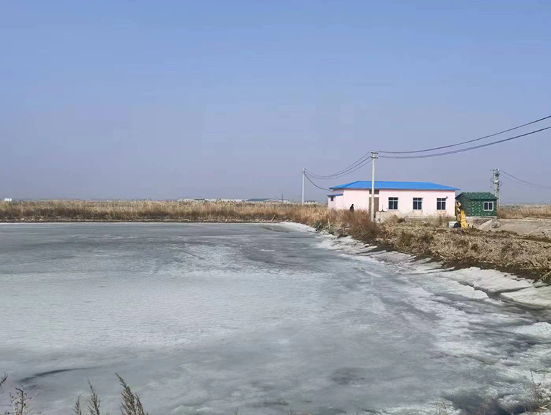 77畝蝦場三年承租權公開拍賣